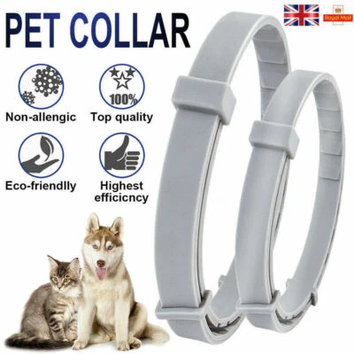 JUNGLEDRAGON Adjustable Pet Anti Flea Tick Neck Collar for Dog Cat Kitten 8 Months Protection