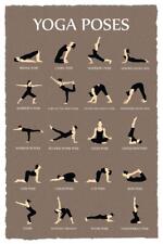 Yoga Poses Reference Chart Studio Gray Laminated Dry Erase Sign Poster 24x36