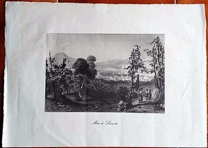 META di SORRENTO Raccolto dei Limone Dessin Anonyme Imprimé 200 x 304 mm ITALIE - Picture 1 of 1