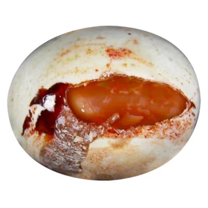 9,74 ct ovaler Cabochon (17 x 14 mm) unbeheizt Mexiko Matrix Feueropal Edelstein - Bild 1 von 1