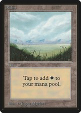 ​​​​Plains (A) [Limited Edition Beta] - MTG - Lightly Played​​​