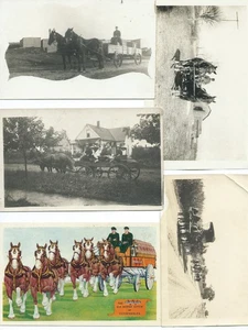 5 photo Postcards HORSES Wagons Clydesdales Farm Work Steeds Family Lansing 1914 - Picture 1 of 2