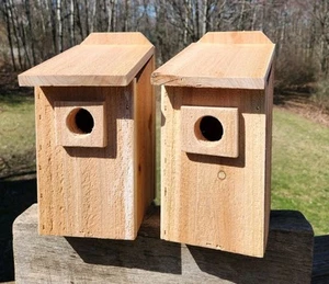 2- Cedar Bluebird House Handmade 5/8" Cedar - Made In USA - Hardware Included - Picture 1 of 18