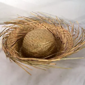 BEACH COMBER HAWAIIAN HAT straw head hats hair wear NEW party supplies cap - Picture 1 of 1