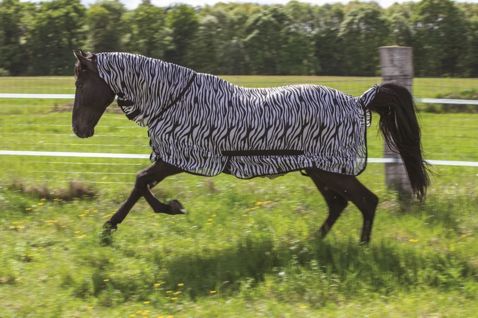 Ekkia Riding World Fliegendecke Mesh Combo mit Halsteil - Bild 1 von 3