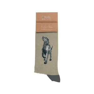 Wrendale Designs "Walkies" Labrador Men's Socks - Picture 1 of 3