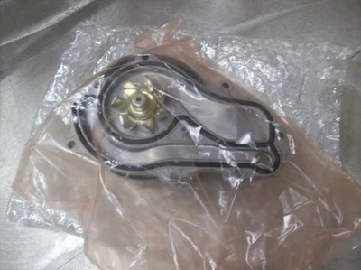 V1) Bomba de agua Honda genuina OEM 19200-PRB-A01 - en bolsa sellada de fábrica Foto 1 de 3