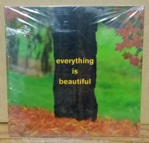 'New" Everything Is Beautiful - DGC (Promo CD) - Imagen 1 de 3