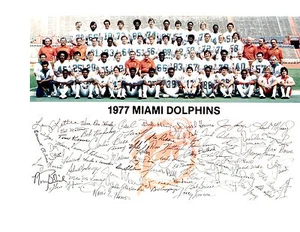 1977 MIAMI DOLPHINS TEAM PHOTO GRIESE STROCK SHULA  FOOTBALL FLORIDA - Picture 1 of 1