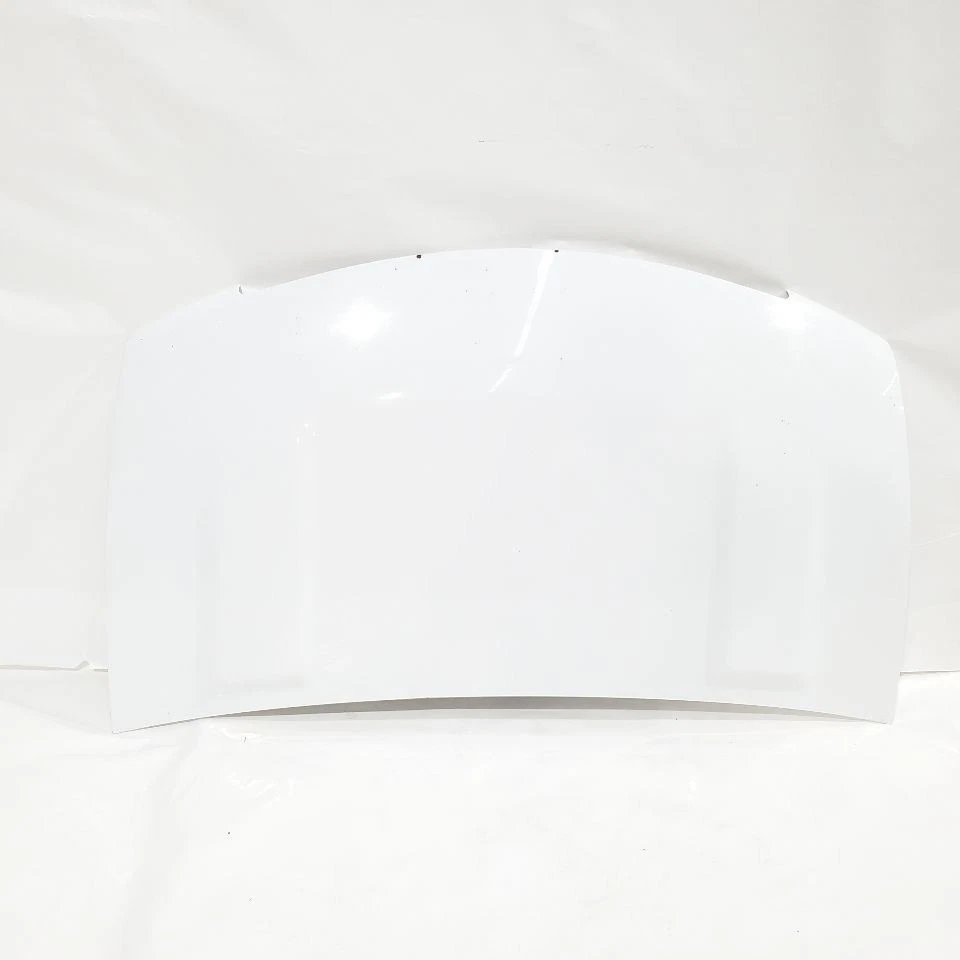 2012 VPG MV-1 原始设备制造商连帽面板白色  — 第 1/4 张图片