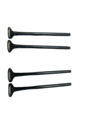 Ventile Einlass und Auslass Beta 125 RR LC - Bild 1 von 2