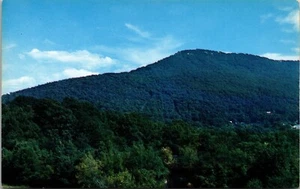 Lookout Mountain Chattanooga Tennessee Chrome Postcard F3 - Picture 1 of 2