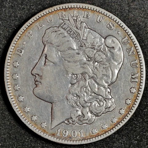 1901 Morgan Silver Dollar.  VF.   187670 Cover