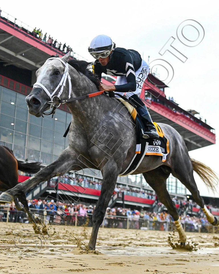 FOTO VERTICAL DE 8X10 APROVECHA EL GRIS 2024 GANADOR DE APUESTAS PREAKNESS JAIME TORRES UP Foto 1 de 1