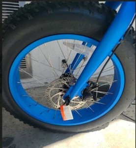 PEDEGO No Suspension Electric Bikes for 