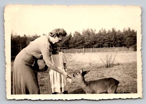 Vtg Photo - Mom and young girl feeding baby deer from hand  | c1930s - Picture 1 of 2