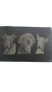 Pizarra Personalizada Mate 300mm con Grabado Mascota - Memorial, Regalo para Amantes de Mascotas - Imagen 1 de 5