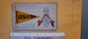 C1910s Postcard Felt Pennant Faribault, MN  Tough Item - Picture 1 of 2