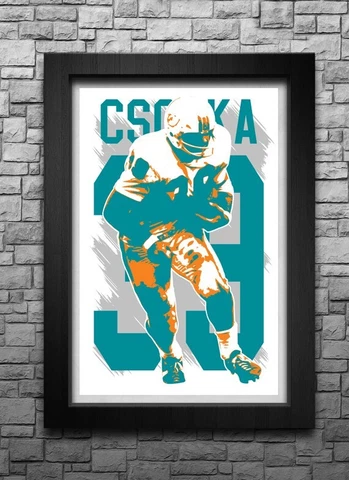 LARRY CSONKA art print/poster MIAMI DOLPHINS FREE S&H! JERSEY Cover