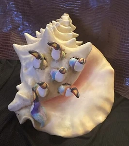 Vintage Sergio Bustamonte Style Baby Toucans & Conch Shell Pottery Sculpture - Picture 1 of 7