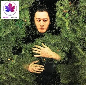 Fantaisie militaire Bashung, Alain (CD audio) - Picture 1 of 2