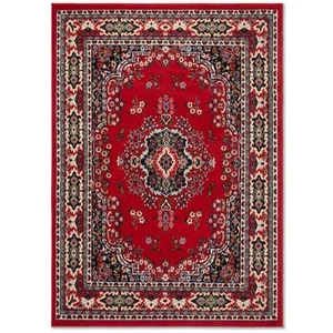 Home Dynamix Premium Sakarya Red/Black 8 ft. x 10 ft. Medallion Area Rug - Picture 1 of 7