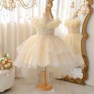 Girl Summer Dress Princess Dress Girls Birthday Elegant Party Dress Evening Gown - Picture 1 of 20