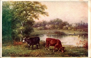 Postcard Scenic View Cattle Animals Pastoral Scene - Picture 1 of 2