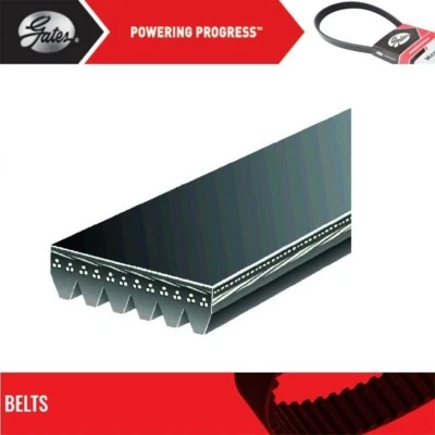 Puertas de cinturón Serpentine para Chevrolet C2500 V6-4,3 L 1990-1994 Foto 1 de 4