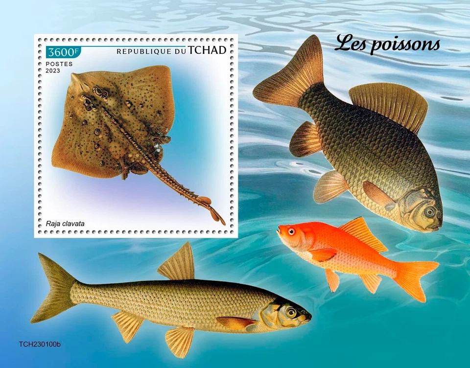 Estampillas de peces MNH 2023 Chad S/S Foto 1 de 1