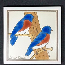 Besheer Art Tile Trivet Wall Plaque Eastern Bluebird Bedford New Hampshire