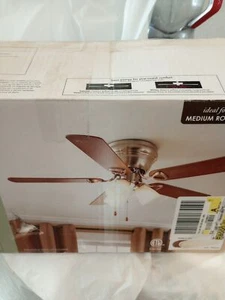 Chapter ceiling fan - Picture 1 of 12