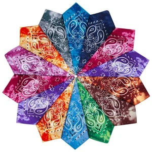 14 pieces Bandanas Paisley Print Novelty Headband Cowboy Headwraps Scarfs Hai... - Picture 1 of 6