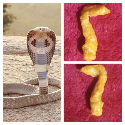 RARO CHEETO FORMADO COMO COBRA, CHEETOS EN FORMA, CHEETOS CRUJIENTES, COBRA CHEETO Foto 1 de 3