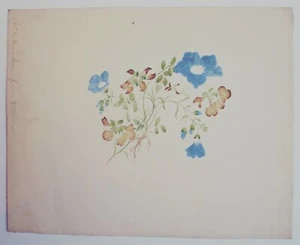 Fine original early 19th century botanical watercolour. Mrs B Barker. Flowers - Picture 1 of 3