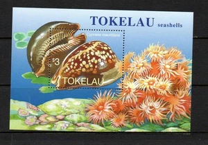 TOKELAU MNH 1996 MS254 MAR SHELLS - Imagen 1 de 1