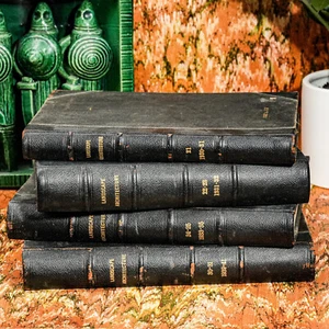 Rare Landscape Architecture Magazine Leather Spine Antique Books Franz Aust - Picture 1 of 14