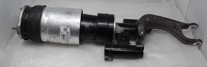 Nuevo Genuino 2021-23 TESLA MODELO S ESCOCÉS PUNTAL DELANTERO IZQUIERDO 1420361-00-G OEM - Imagen 1 de 17