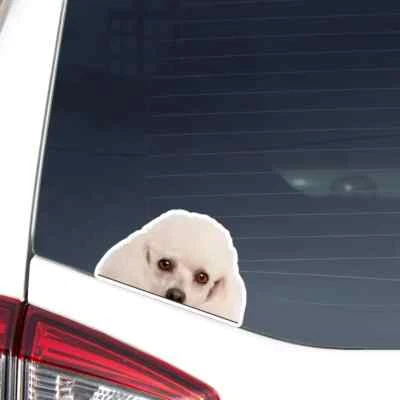 White Poodle Head Car Sticker Decal / Peeking Vinyl Waterproof Bumper Window - Image 1 of 4
