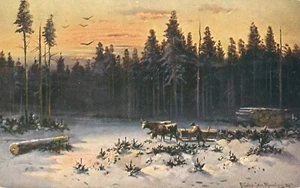 Winter Schnee Wald Kühe Schlitten Baumstämme Ein Müller Künstler signiert 1911 Postkarte - Bild 1 von 2