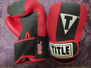Title boxing gloves youth - Picture 1 of 1
