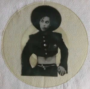 Prince - Limited Edition Interview Picture Disc Rare Uncut 1988 Vinyl. - Picture 1 of 3