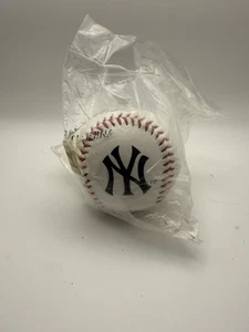 Yankees Baseball - Picture 1 of 2