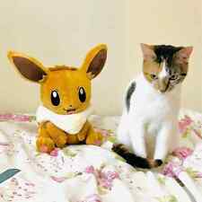 12in NEW Pocket Monster Pokémon Brown Fox Eevee Plush Doll Toy Stuff Animal