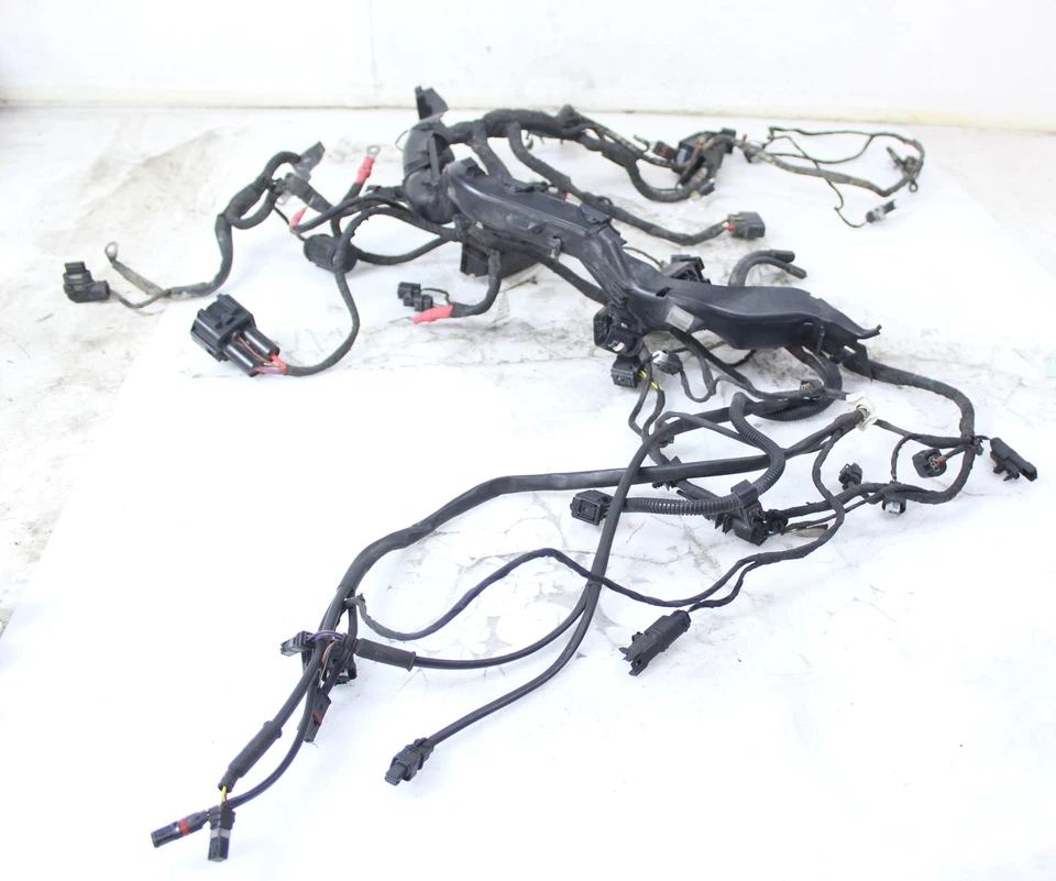 14-18 BMW R1200GS ADVENTURE OEM ARNÉS DE CABLEADO MOTOR TELAR DE CABLE Foto 1 de 4