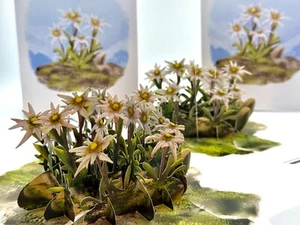 ORIGAMI POP CARDS Australian Flannel Native Flower Garden Happy Birthday Pop - Picture 1 of 10