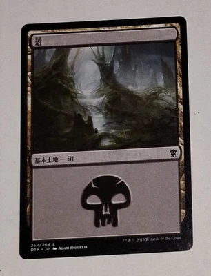 Russian Basic Land Swamp 263/274 Magic The Gathering MTG TCG 2012 - Image 1 of 2