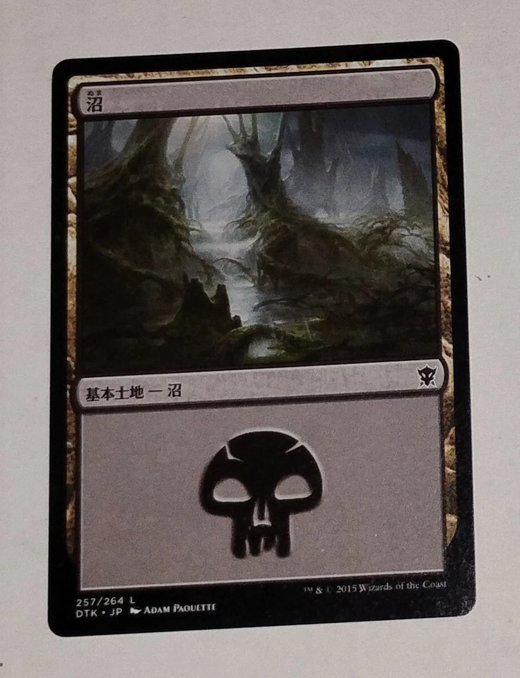 Russian Basic Land Swamp 263/274 Magic The Gathering MTG TCG 2012 - Image 1 of 2