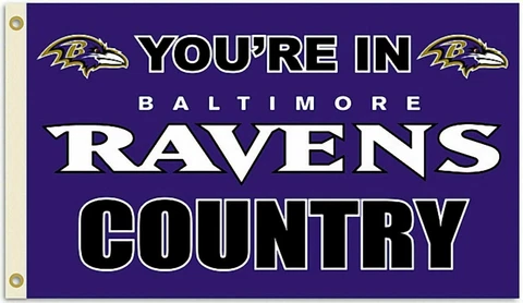 You're in Baltimore Ravens Country Flag  3X5 Flag Man Cave Cover