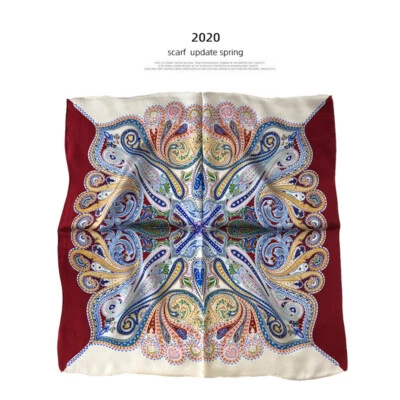 Pañuelo pequeño 100 % seda vintage estampado cachemir pañuelo para hombre mujer 53 cm Foto 1 de 4